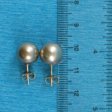 Load image into Gallery viewer, Soft Champagne Tahitian Pearl Stud Earrings – 14k Yellow Gold