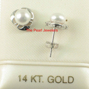 Solid 14k White Gold Encircle Design White Cultured Pearl Stud Earrings