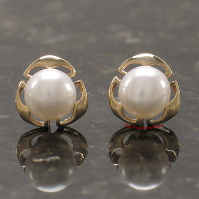 Solid 14k Yellow Gold Encircle Design White Pearl Stud Earrings