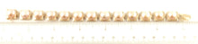 Load image into Gallery viewer, 14k Solid Yellow Gold Stationary 9mm Pink Cultured Pearl Bracelet
