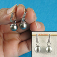 Load image into Gallery viewer, Solid Sterling Silver .925 Gray-Blue Tahitian Pearl Euro-Back Dangle Earrings