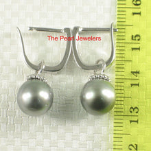 Load image into Gallery viewer, Solid Sterling Silver .925 Gray-Blue Tahitian Pearl Euro-Back Dangle Earrings