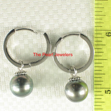 Load image into Gallery viewer, Solid Sterling Silver .925 Black-Green Overtone Tahitian Pearl C-Hoop Earrings
