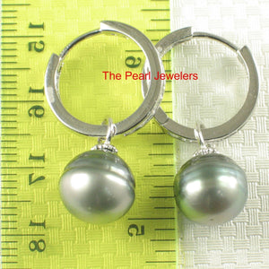 Solid Sterling Silver .925 Green-Silver Overtone Tahitian Pearl C-Hoop Earrings