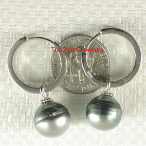 Solid Sterling Silver .925 Green-Silver Overtone Tahitian Pearl C-Hoop Earrings