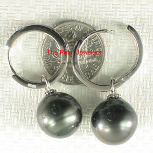 Solid Sterling Silver .925 Baroque Black Tahitian Pearl C-Hoop Dangle Earrings