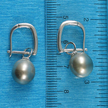 Load image into Gallery viewer, Solid Sterling Silver .925 Silver-Gray Tahitian Pearl Euro-Back Earrings
