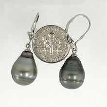 Load image into Gallery viewer, Genuine Tahitian Black Pearl Leverback Dangle Earrings