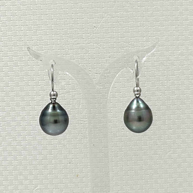 Tahitian Pearl Shepherd’s Wire Drop Earrings – 14k White Gold