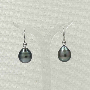 Tahitian Pearl Shepherd’s Wire Drop Earrings – 14k White Gold