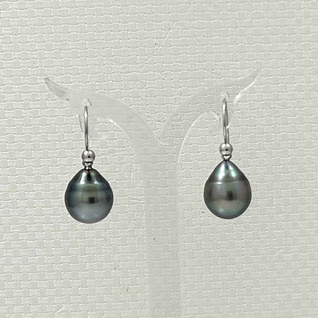 Tahitian Pearl Shepherd’s Wire Drop Earrings – 14k White Gold