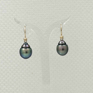 Tahitian Pearl Shepherd’s Wire Earrings – 14k Yellow Gold