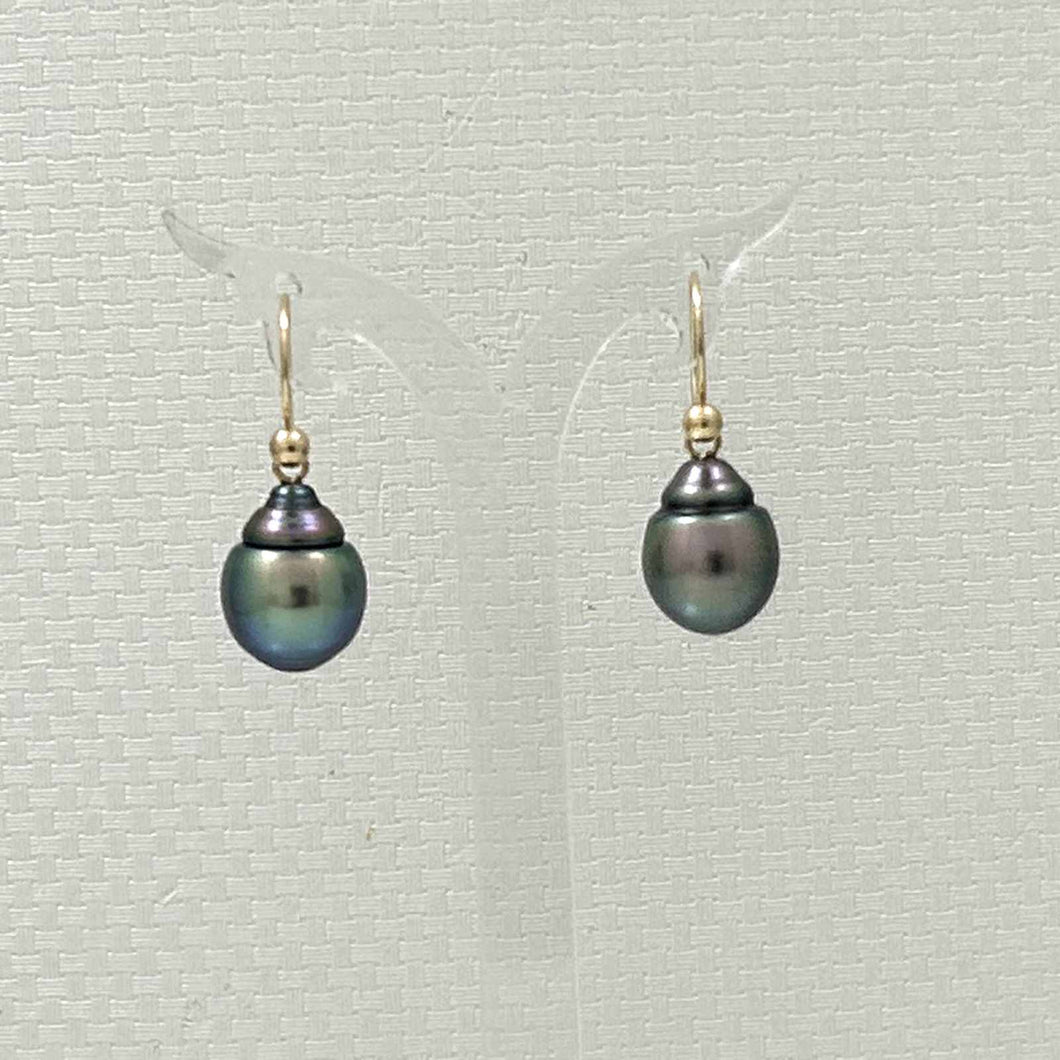 Tahitian Pearl Shepherd’s Wire Earrings – 14k Yellow Gold