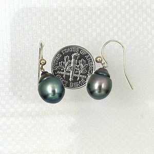 Tahitian Pearl Shepherd’s Wire Earrings – 14k Yellow Gold