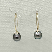 Load image into Gallery viewer, Ringed Teardrop Tahitian Pearl Hoop Earrings – 14k Yellow Gold