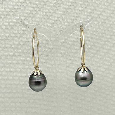 Ringed Teardrop Tahitian Pearl Hoop Earrings – 14k Yellow Gold