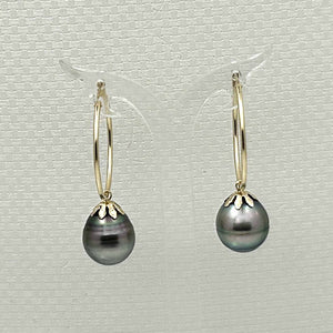 Ringed Teardrop Tahitian Pearl Hoop Earrings – 14k Yellow Gold