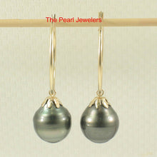 Load image into Gallery viewer, Ringed Teardrop Tahitian Pearl Hoop Earrings – 14k Yellow Gold