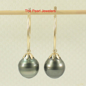 Ringed Teardrop Tahitian Pearl Hoop Earrings – 14k Yellow Gold
