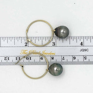Ringed Teardrop Tahitian Pearl Hoop Earrings – 14k Yellow Gold