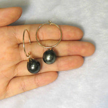 Load image into Gallery viewer, Ringed Teardrop Tahitian Pearl Hoop Earrings – 14k Yellow Gold