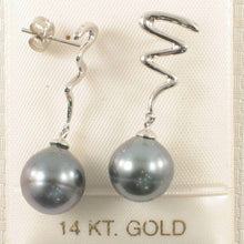 Load image into Gallery viewer, 14k White Gold Unique Gourd Black Tahitian Pearl Dangle Stud Earrings