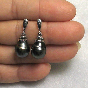 Water Flow Tahitian Pearl Dangle Earrings – 14k White Gold