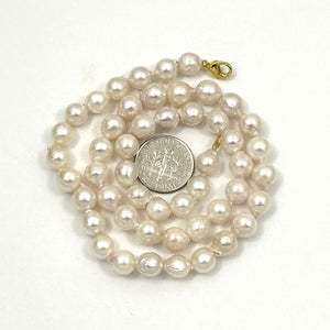 White Akoya Cultured Pearl Necklace with Gold-Plated Alloy Clasp