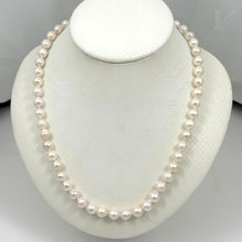 Load image into Gallery viewer, White Akoya Cultured Pearl Necklace with Gold-Plated Alloy Clasp