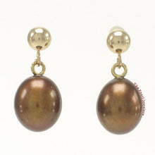Load image into Gallery viewer, 1000013-Chocolate-Cultured-Pearl-14k-Yellow-Solid-Gold-Dangle-Stud-Earrings