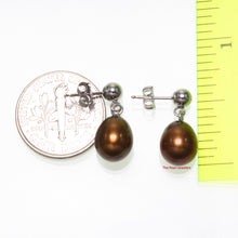 Load image into Gallery viewer, 1000018-Chocolate-Cultured-Pearl-14k-White-Gold-Ball-Ring-Dangle-Earrings