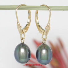 Load image into Gallery viewer, 1000021-Black-Cultured-Pearl-14k-Solid-Yellow-Gold-Leverback-Dangle-Earrings