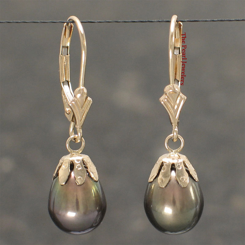 1000121-14k-Gold-Leverback-Cups-Black-Pearl-Dangle-Earrings