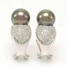 Load image into Gallery viewer, 1000136-14k-White-Gold-Diamonds-AAA-Black-Pearl-Omega-Back-Earrings