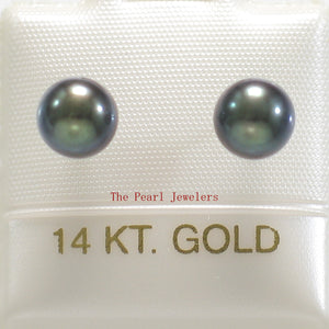 1000156-14k-White-Gold-6mm-High-Luster-Black-Cultured-Pearl-Stud-Earrings