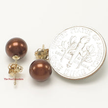 Load image into Gallery viewer, 1000273-14k-Gold-Luster-Chocolate-Cultured-Pearl-Stud-Earrings