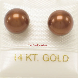 1000283-14k-Gold-Luster-Chocolate-Cultured-Pearl-Stud-Earrings