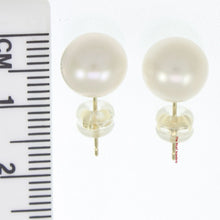 Load image into Gallery viewer, 1000300-14k-Gold-Luster-White-Cultured-Pearl-Stud-Earrings