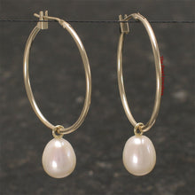 Load image into Gallery viewer, 1000590-14k-Yellow-Gold-Hoop-White-Cultured-Pearl-Dangle-Earrings