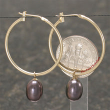 Load image into Gallery viewer, 1000591-14k-Yellow-Gold-Hoop-Black-Cultured-Pearl-Dangle-Earrings