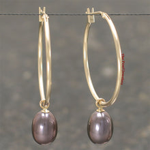 Load image into Gallery viewer, 1000591-14k-Yellow-Gold-Hoop-Black-Cultured-Pearl-Dangle-Earrings