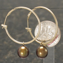 Load image into Gallery viewer, 1000593-14k-Yellow-Gold-Hoop-Chocolate-Cultured-Pearl-Dangle-Earrings