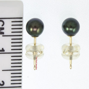 1000641-High-Luster-Black-Cultured-Pearl-Stud-Earrings-14k-Yellow-Gold