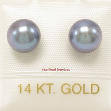 Load image into Gallery viewer, 1000791-High-Luster-Black-Cultured-Pearl-Stud-Earrings-14k-Yellow-Gold