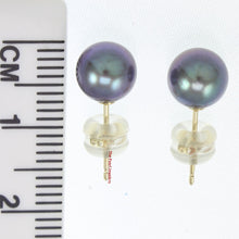 Load image into Gallery viewer, 1000791-High-Luster-Black-Cultured-Pearl-Stud-Earrings-14k-Yellow-Gold