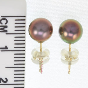 1000794-14k-Yellow-Gold-High-Luster-Eggplant-Cultured-Pearl-Stud-Earrings