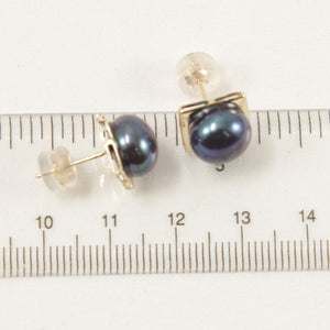 1001391-Collection-9.5-10mm-Black-Pearl-Stud-Earrings-14K-Yellow-Gold