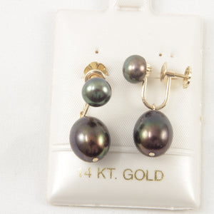 1001721-14k-Gold-French-Screw-Back-None-Pierced-Black-Pearl-Earrings