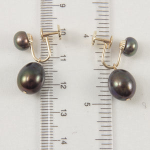 1001721-14k-Gold-French-Screw-Back-None-Pierced-Black-Pearl-Earrings