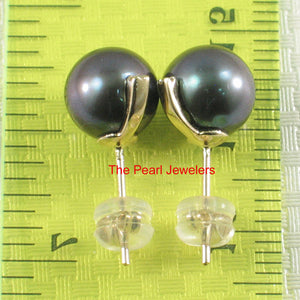 1001871-14k-Yellow-Gold-Gray-Cultured-Pearl-Diamond-Stud-Earrings